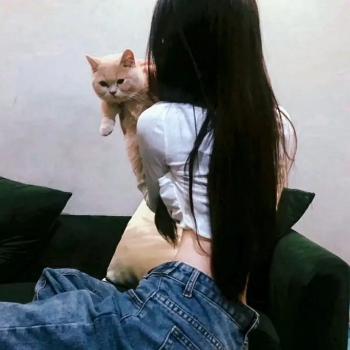 势不两立粤语